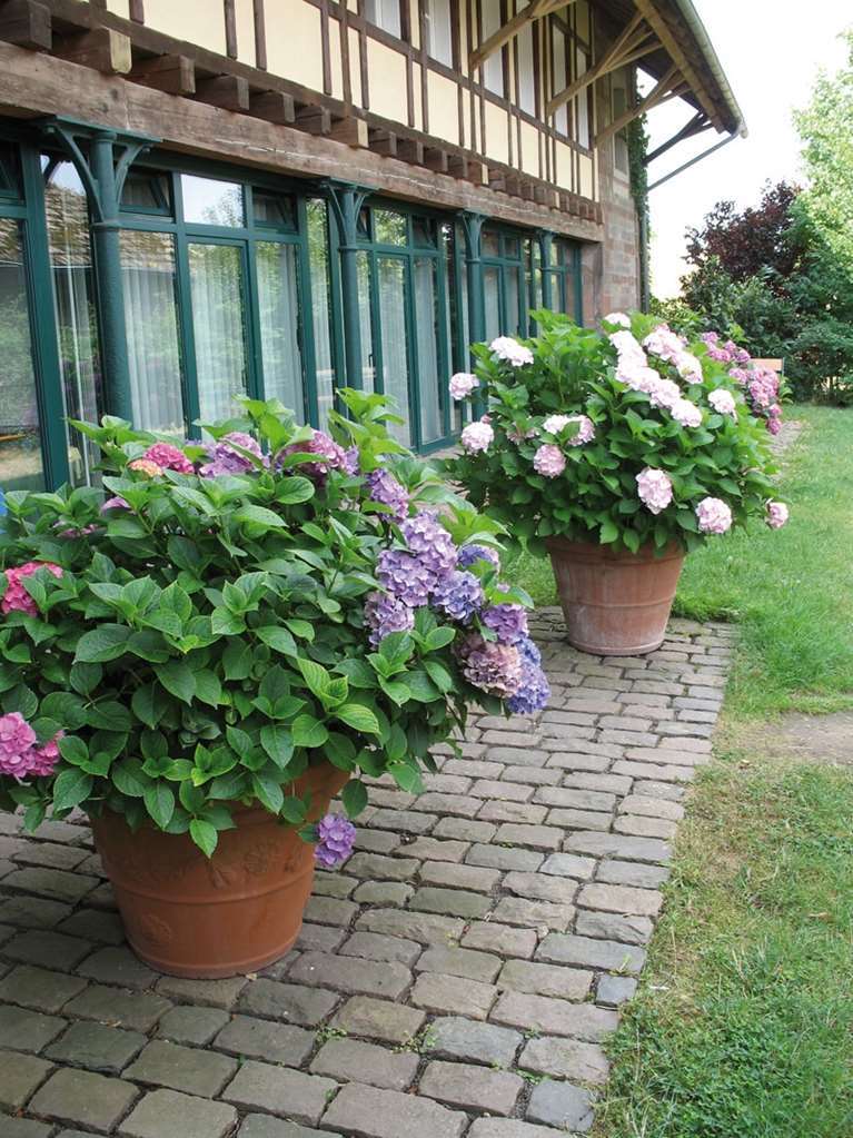 Der Linslerhof - Hotel, Restaurant, Events & Natur Überherrn Eksteriør bilde
