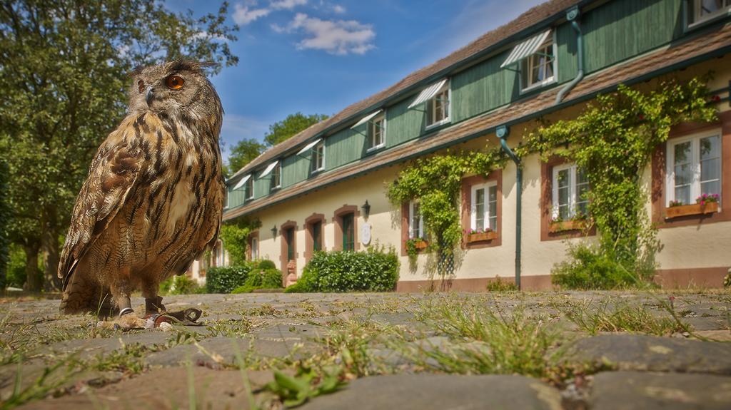 Der Linslerhof - Hotel, Restaurant, Events & Natur Überherrn Eksteriør bilde